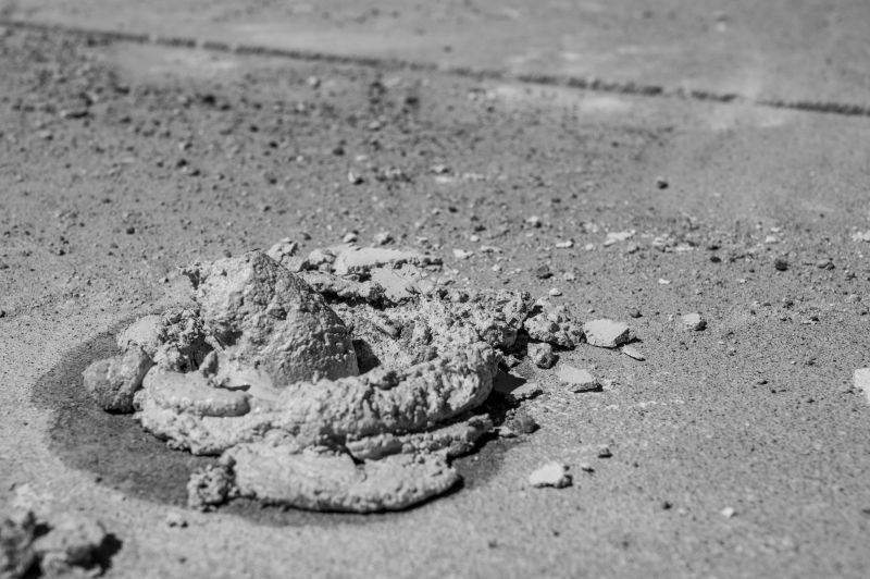 Summer Weather Conditions